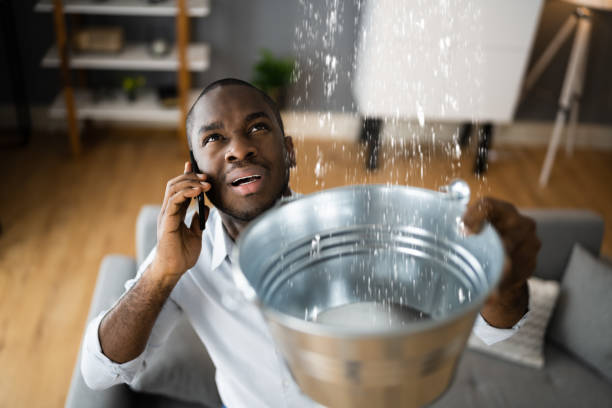 Best Water damage restoration mold remediation  in Milton, LA