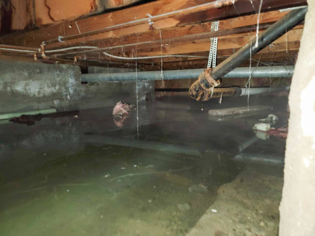  Milton, LA Water damage restoration Pros