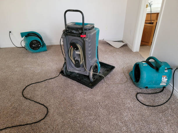 Best Water damage contractors near me  in Milton, LA
