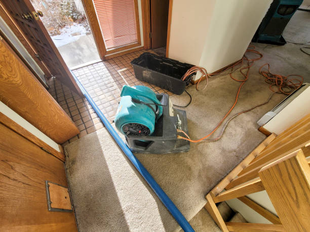 Best Basement water damage restoration  in Milton, LA