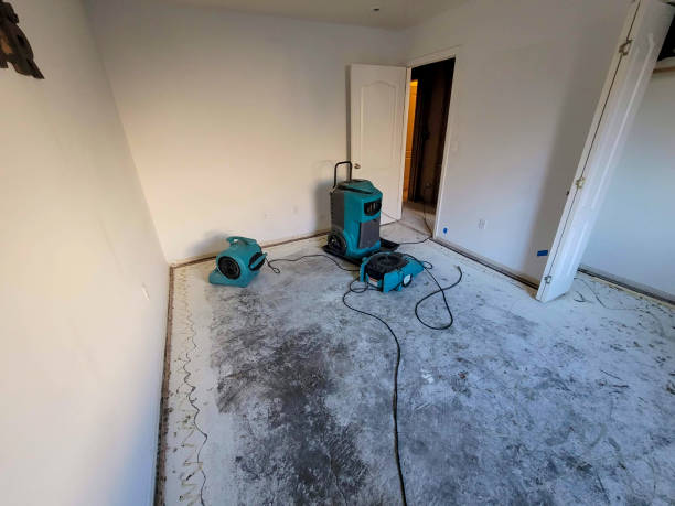 Best Professional water damage repair  in Milton, LA